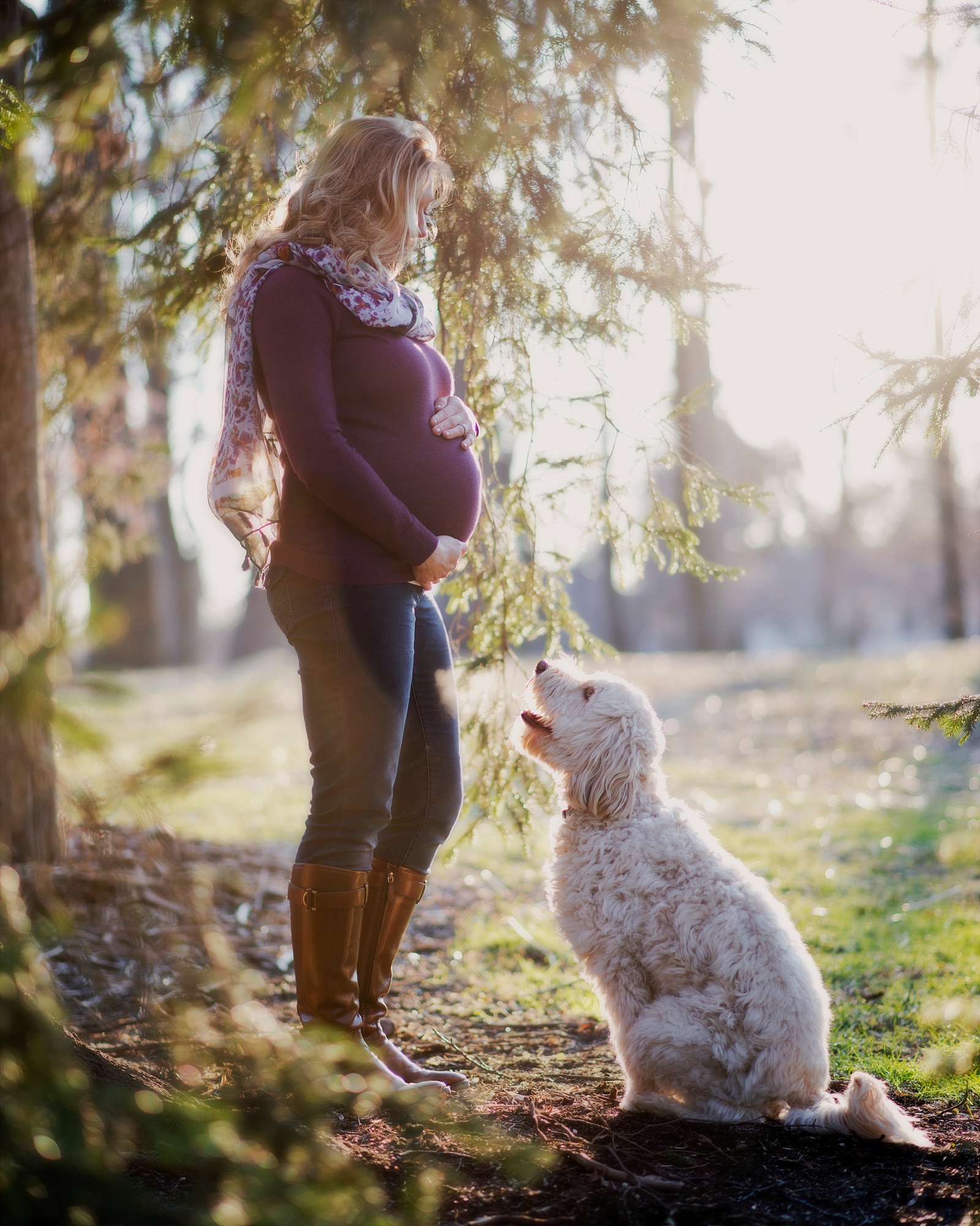 Maternity Portraits with a dog at Cherry Hill Park in Falls Church, VA