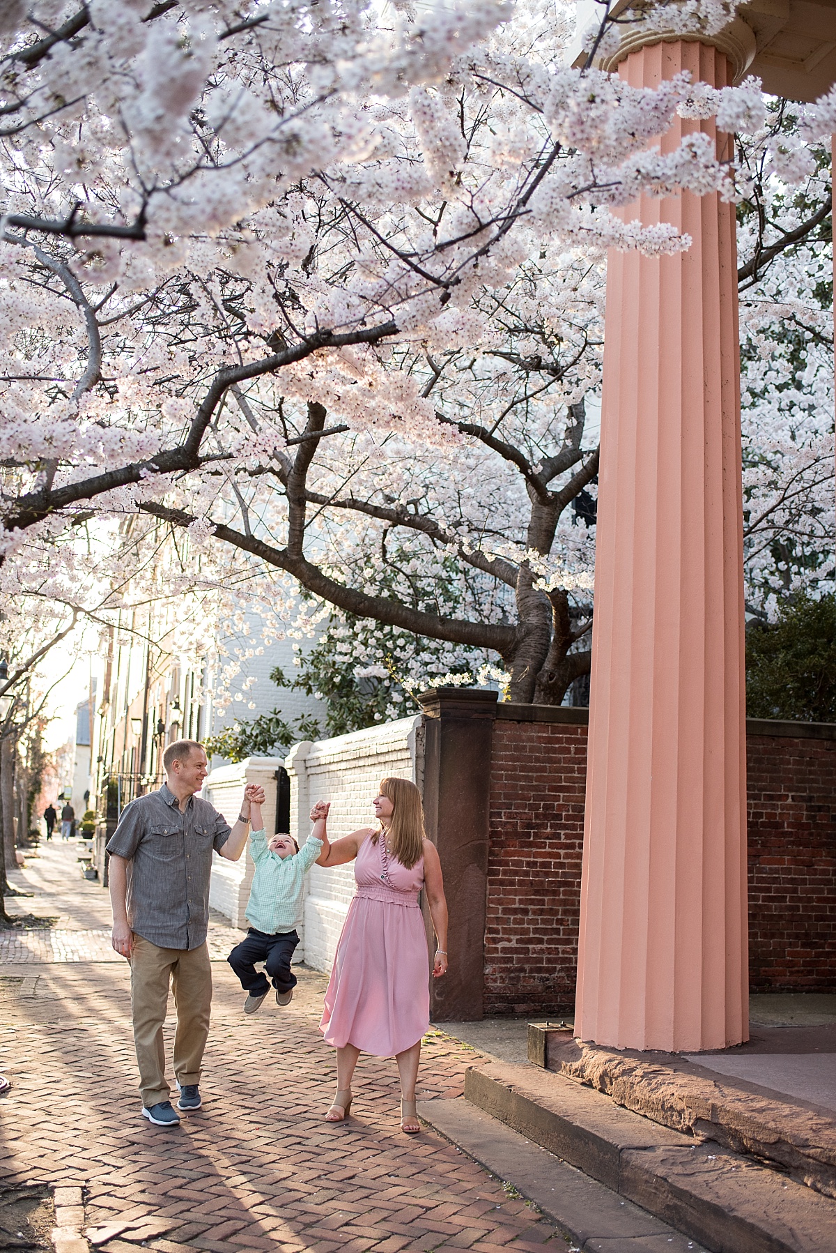Cherry blossoms in front of Antheneum in Old Town Alexandria